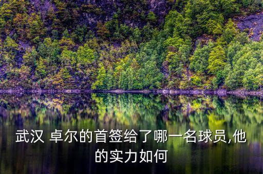 卓爾集團足球明星