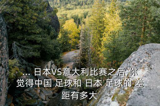 ... 日本VS意大利比賽之后,你覺得中國 足球和 日本 足球的 差距有多大