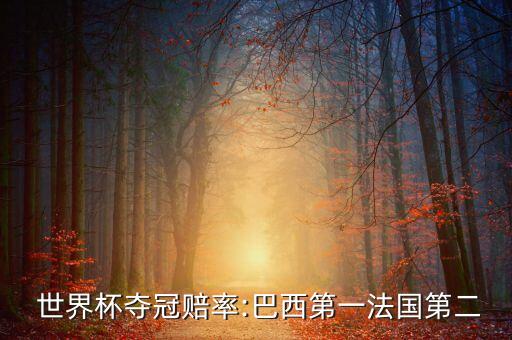  世界杯奪冠賠率:巴西第一法國(guó)第二