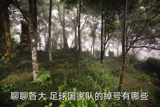 喀麥隆足球簡(jiǎn)稱