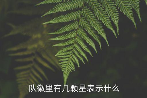 上港足球隊(duì)隊(duì)徽,世界各國足球隊(duì)隊(duì)徽