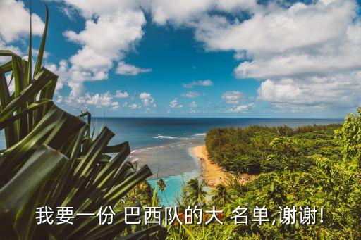 我要一份 巴西隊(duì)的大 名單,謝謝!