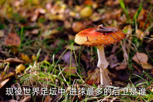 現(xiàn)役世界足壇中,進(jìn)球最多的后衛(wèi)是誰(shuí)