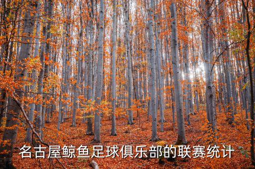 名古屋鯨魚(yú)足球俱樂(lè)部的聯(lián)賽統(tǒng)計(jì)