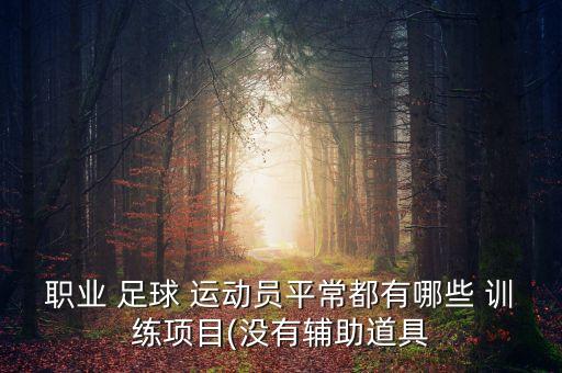 職業(yè) 足球 運動員平常都有哪些 訓練項目(沒有輔助道具