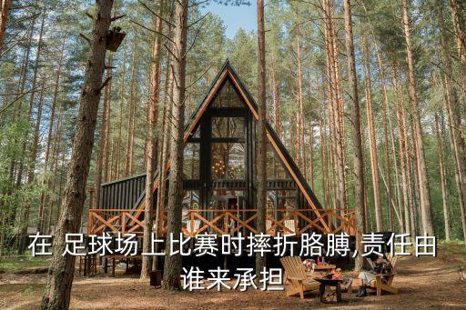 在 足球場上比賽時摔折胳膊,責(zé)任由誰來承擔(dān)