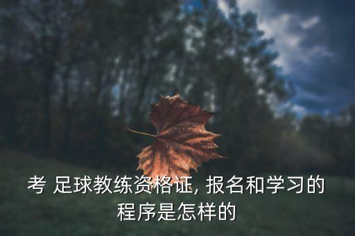 足球試訓(xùn)報名,2023足球試訓(xùn)