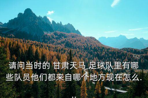 請問當(dāng)時(shí)的 甘肅天馬 足球隊(duì)里有哪些隊(duì)員他們都來自哪個(gè)地方現(xiàn)在怎么...