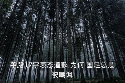 董路17字表態(tài)道歉,為何 國(guó)足總是被嘲諷