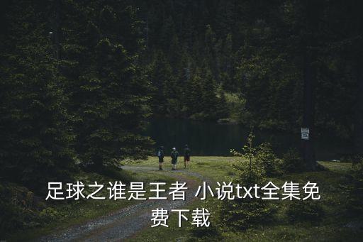 意大利足球小說(shuō),主角是意大利華裔的足球小說(shuō)