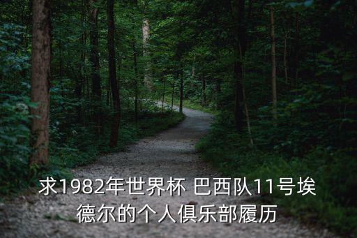 求1982年世界杯 巴西隊(duì)11號(hào)埃德?tīng)柕膫€(gè)人俱樂(lè)部履歷