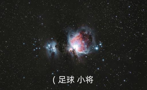 ( 足球 小將