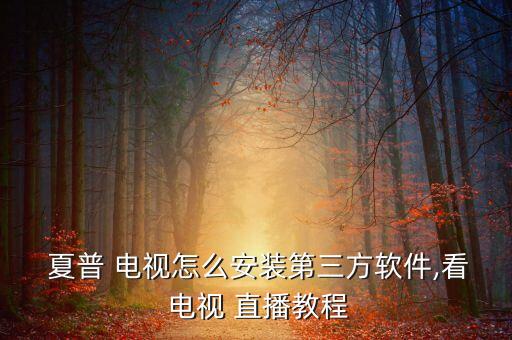  夏普 電視怎么安裝第三方軟件,看 電視 直播教程