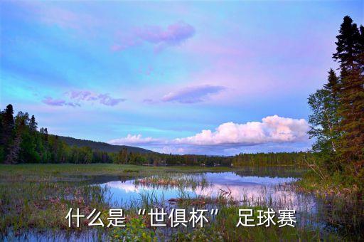 世界杯 足球 即是 指數(shù)