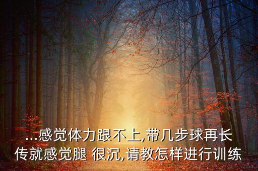 ...感覺體力跟不上,帶幾步球再長(zhǎng)傳就感覺腿 很沉,請(qǐng)教怎樣進(jìn)行訓(xùn)練