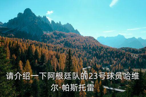 請(qǐng)介紹一下阿根廷隊(duì)的23號(hào)球員哈維爾·帕斯托雷