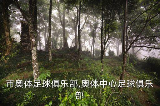 廣州市奧體足球俱樂部,奧體中心足球俱樂部