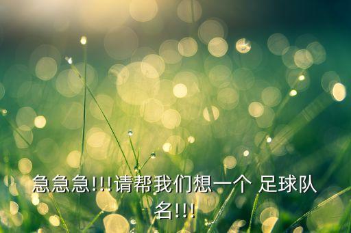 急急急!!!請(qǐng)幫我們想一個(gè) 足球隊(duì)名!!!