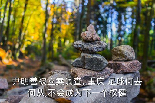 尹明善被立案調(diào)查, 重慶 足球何去何從,不會(huì)成為下一個(gè)權(quán)健