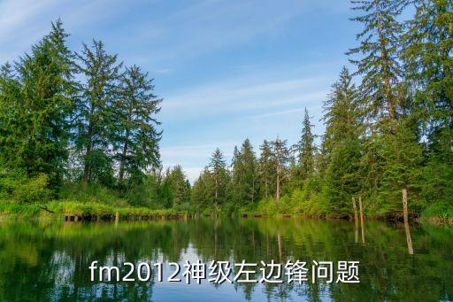 fm2012神級(jí)左邊鋒問題