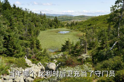 當(dāng)年哪個 比利時后衛(wèi)充當(dāng)了守門員