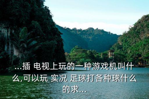...插 電視上玩的一種游戲機(jī)叫什么,可以玩 實(shí)況 足球打各種球什么的求...