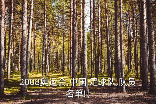 2008奧運會,中國 足球隊,隊員名單!!