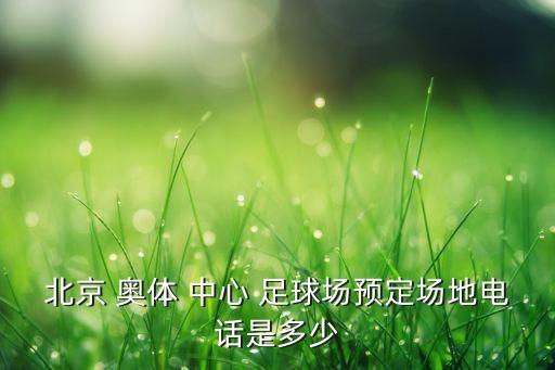 貴陽(yáng)奧體中心足球場(chǎng)副場(chǎng)