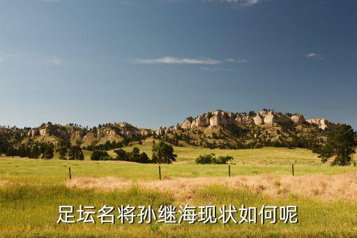 全能足球運動員,出名的足球運動員哪些?