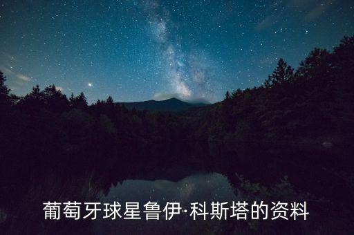 葡萄牙球星魯伊·科斯塔的資料
