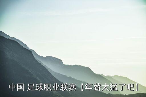 中國 足球職業(yè)聯(lián)賽【年薪太猛了吧】