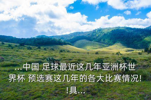...中國(guó) 足球最近這幾年亞洲杯世界杯 預(yù)選賽這幾年的各大比賽情況!!具...
