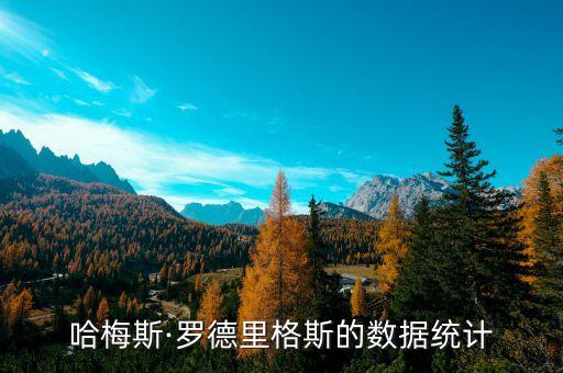 哈梅斯·羅德里格斯的數(shù)據(jù)統(tǒng)計(jì)