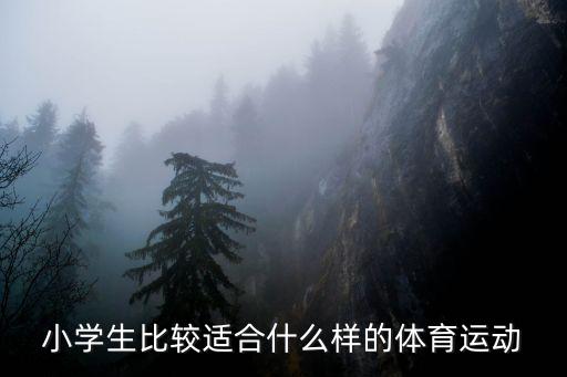 小學生比較適合什么樣的體育運動