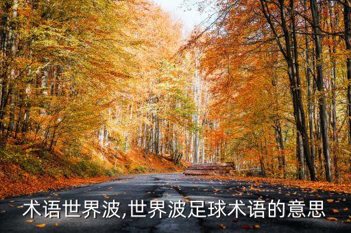 足球術(shù)語(yǔ)世界波,世界波足球術(shù)語(yǔ)的意思