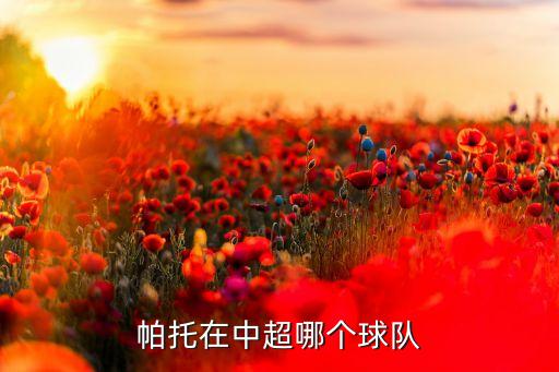 天津權健足球俱樂部地址查詢