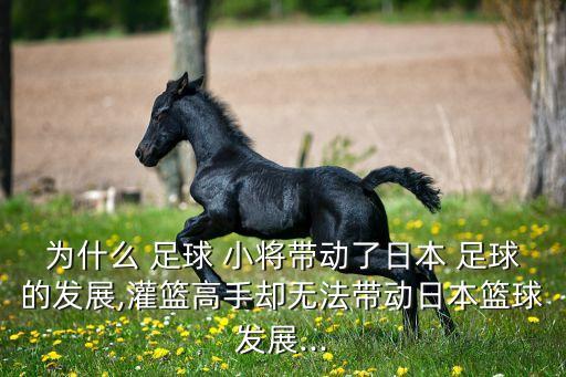 為什么 足球 小將帶動(dòng)了日本 足球的發(fā)展,灌籃高手卻無法帶動(dòng)日本籃球發(fā)展...