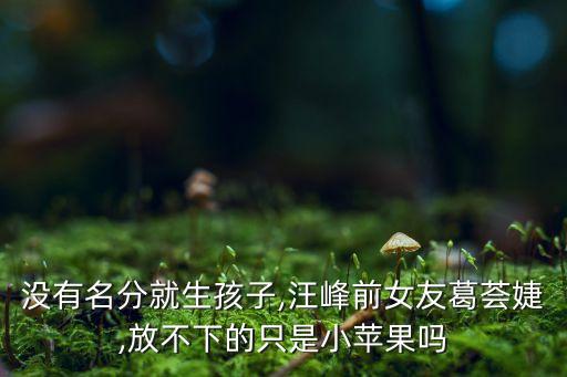 沒有名分就生孩子,汪峰前女友葛薈婕,放不下的只是小蘋果嗎