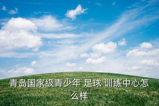 青島國家級青少年 足球 訓(xùn)練中心怎么樣