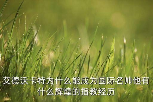 韓國足球隊(duì)歷屆主教練,廣東宏遠(yuǎn)足球隊(duì)歷屆主教練