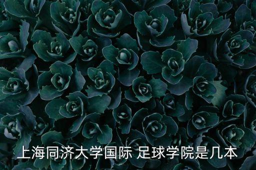 上海同濟大學(xué)國際 足球?qū)W院是幾本