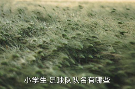 小學生 足球隊隊名有哪些
