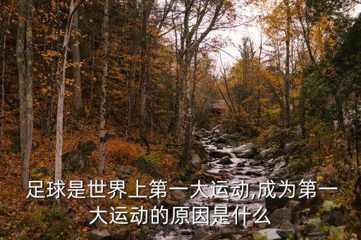  足球是世界上第一大運動,成為第一大運動的原因是什么