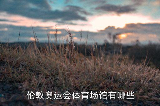  倫敦奧運會體育場館有哪些