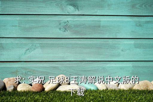 實(shí)況足球str