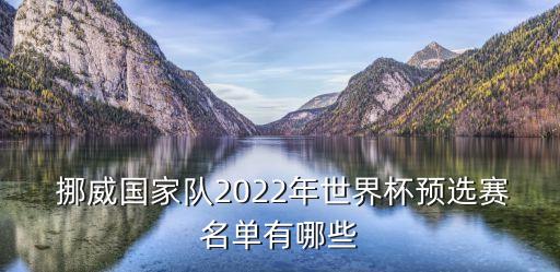  挪威國家隊2022年世界杯預選賽名單有哪些