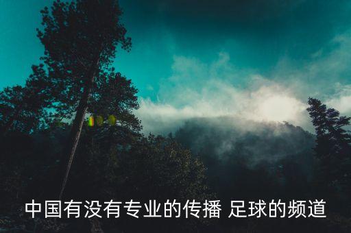 中國(guó)有沒(méi)有專業(yè)的傳播 足球的頻道