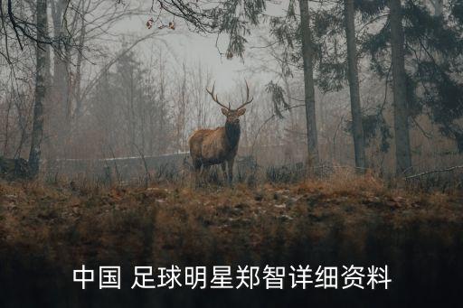中國 足球明星鄭智詳細(xì)資料