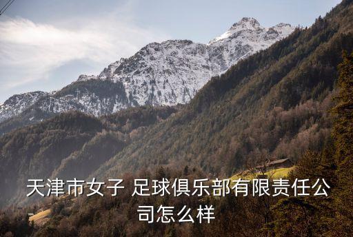  天津市女子 足球俱樂部有限責(zé)任公司怎么樣