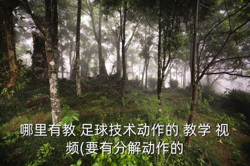哪里有教 足球技術(shù)動作的 教學 視頻(要有分解動作的